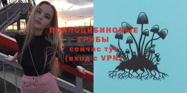 прущий лед Надым