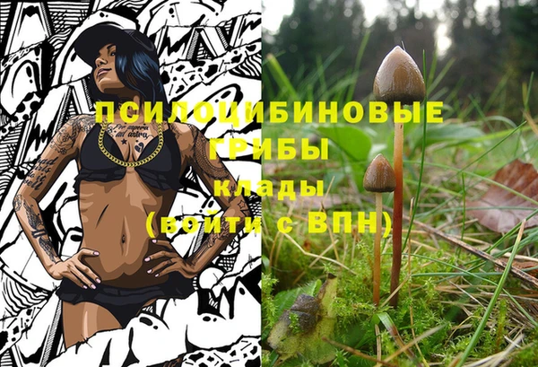 прущая мука Нефтекумск