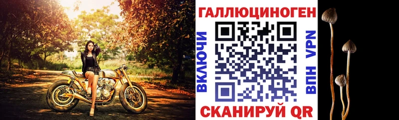 Галлюциногенные грибы Psilocybe  Купить закладки  Славянск-на-Кубани 